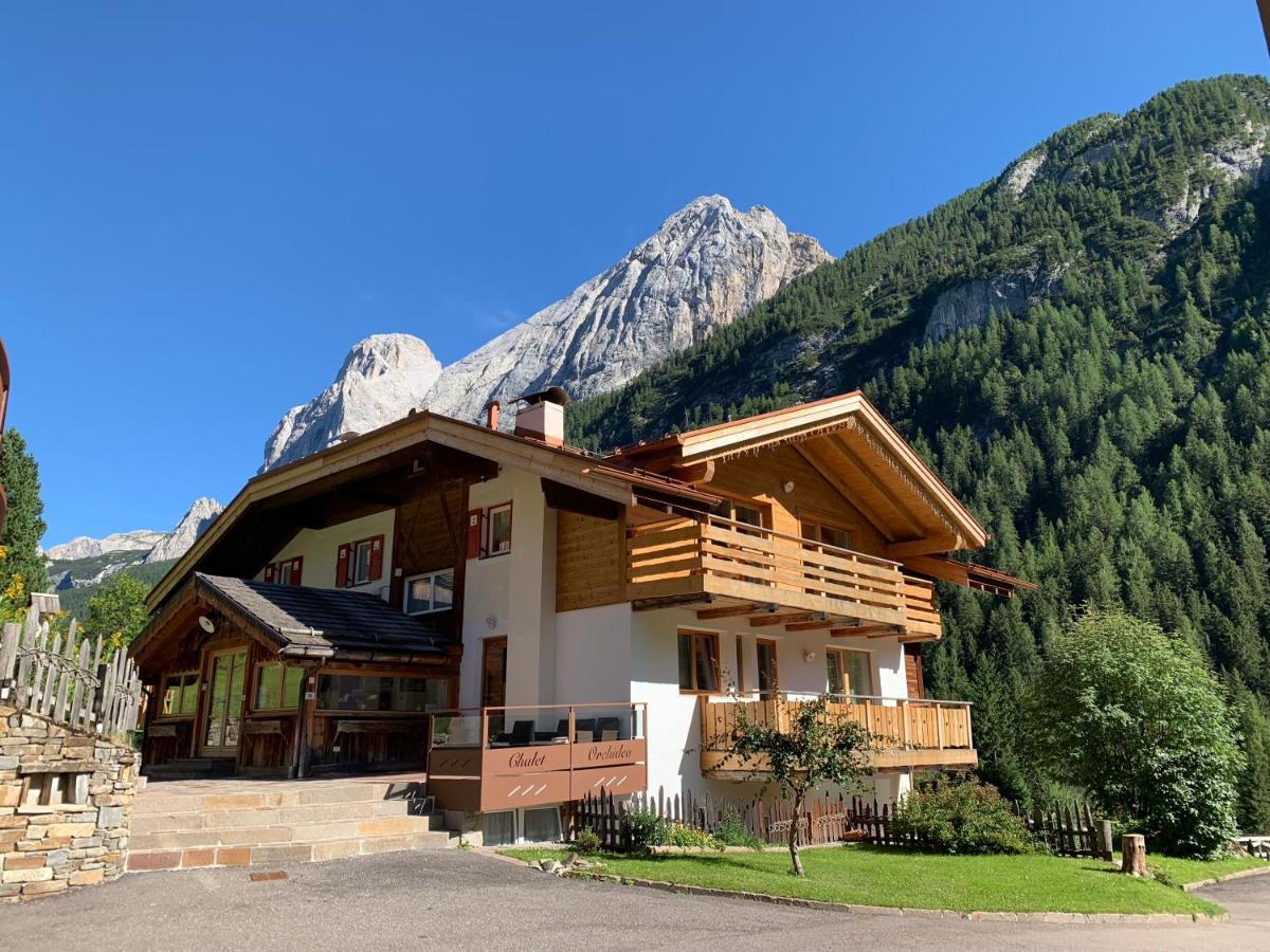 Appartamenti Chalet Orchidea كنازاي المظهر الخارجي الصورة